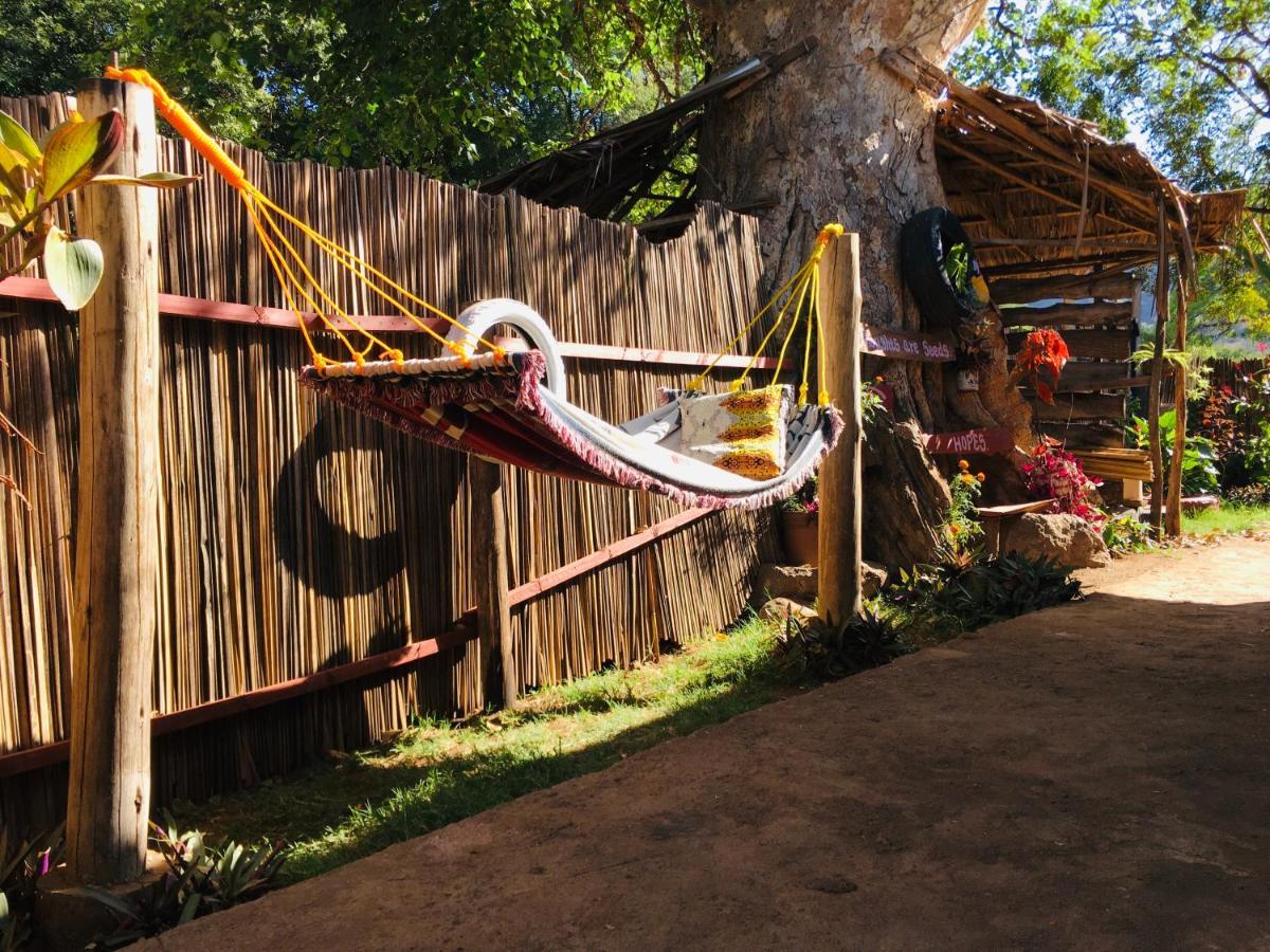 Ava garden backpackers Lägenhet Mto wa Mbu Exteriör bild