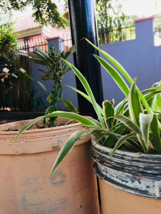 Ava garden backpackers Lägenhet Mto wa Mbu Exteriör bild