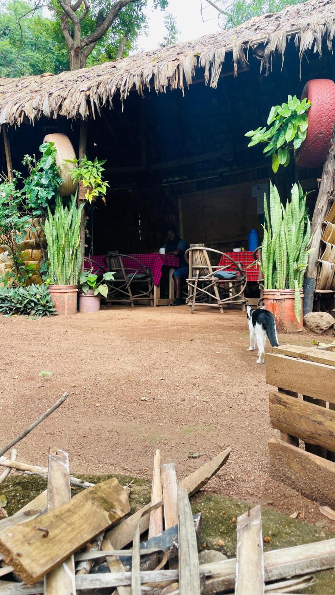 Ava garden backpackers Lägenhet Mto wa Mbu Exteriör bild
